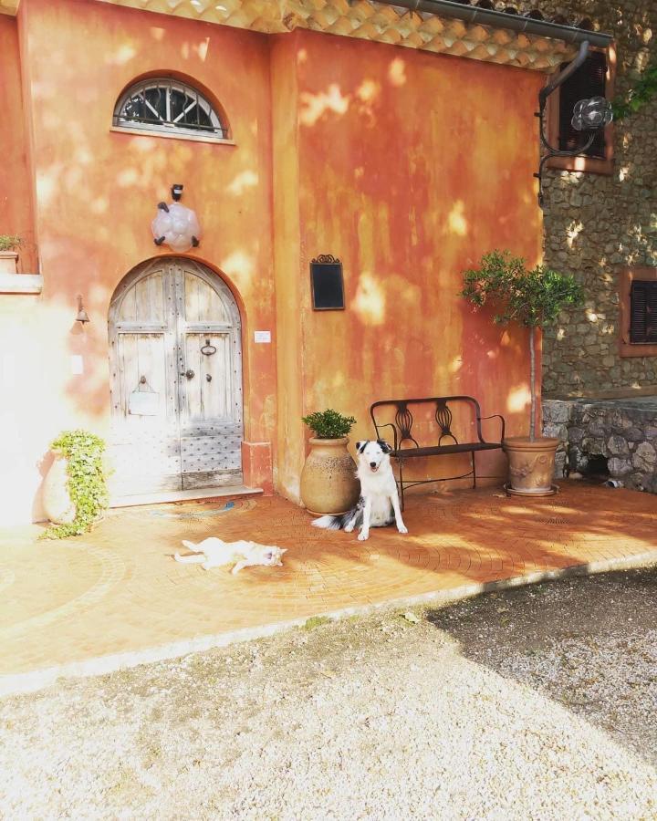 Bed and Breakfast Domaine De Sainte Annette Callian  Exterior foto